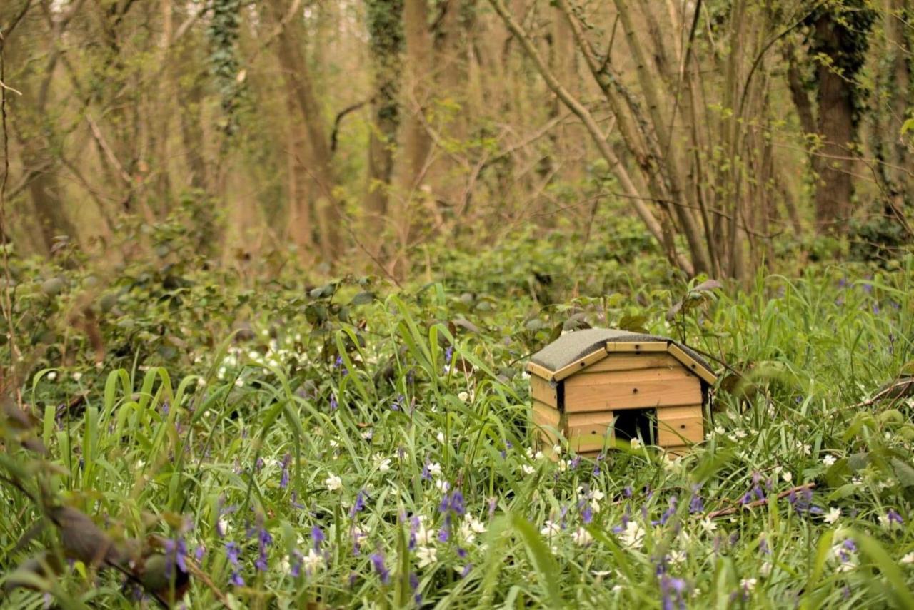 Magical Forest Yurt Sturry Exterior photo