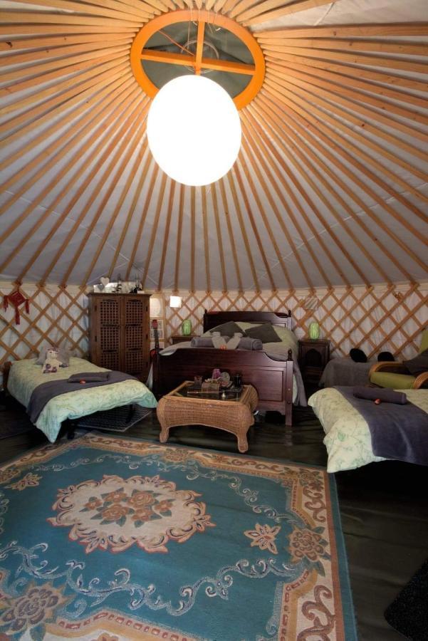 Magical Forest Yurt Sturry Exterior photo