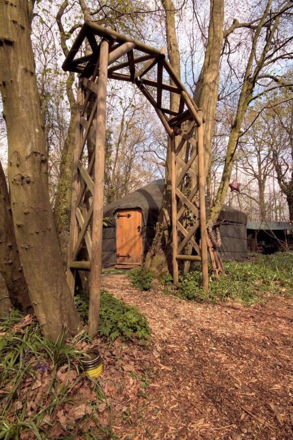 Magical Forest Yurt Sturry Exterior photo