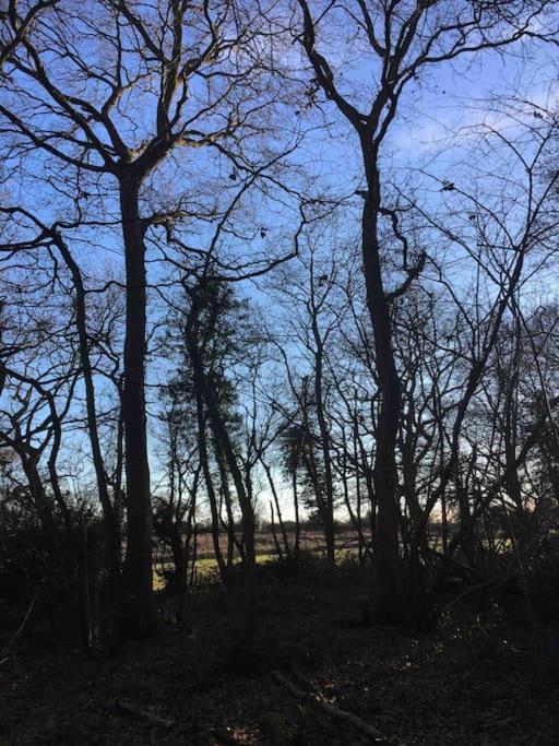 Magical Forest Yurt Sturry Exterior photo