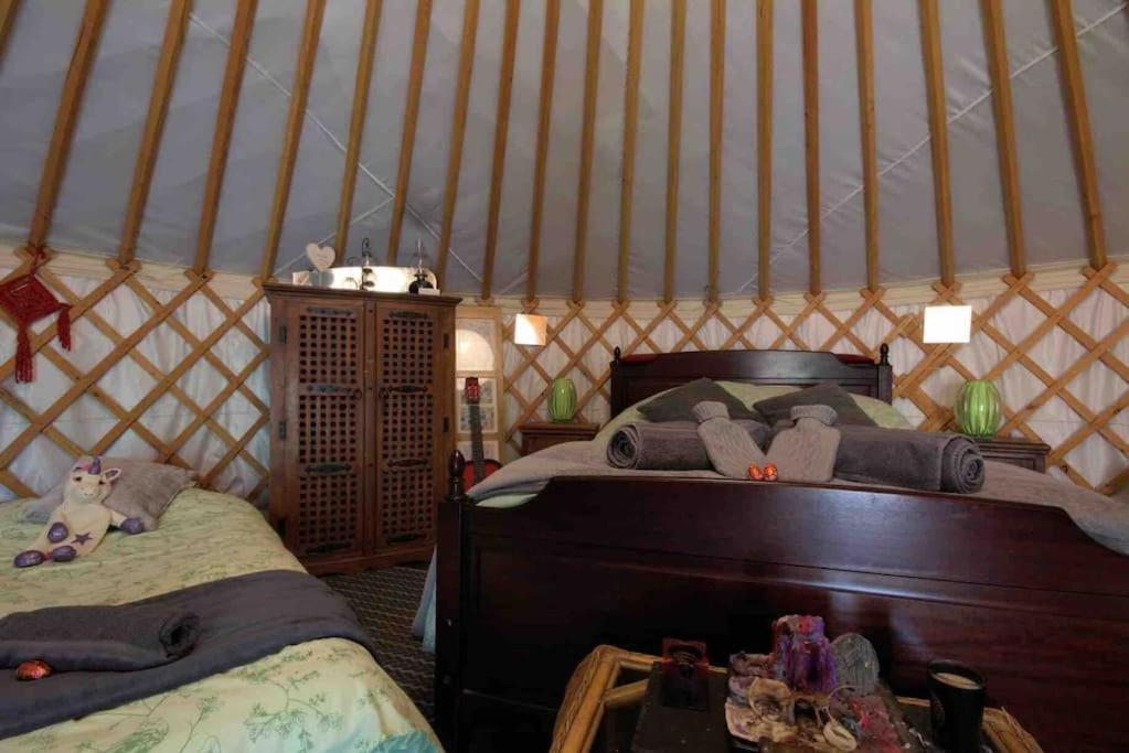 Magical Forest Yurt Sturry Exterior photo