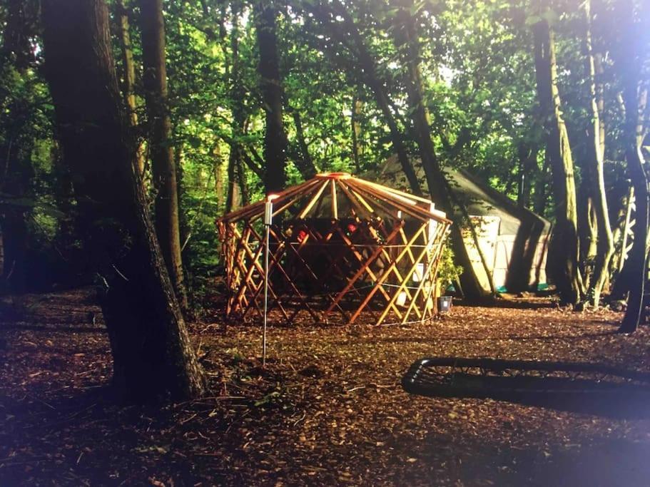 Magical Forest Yurt Sturry Exterior photo