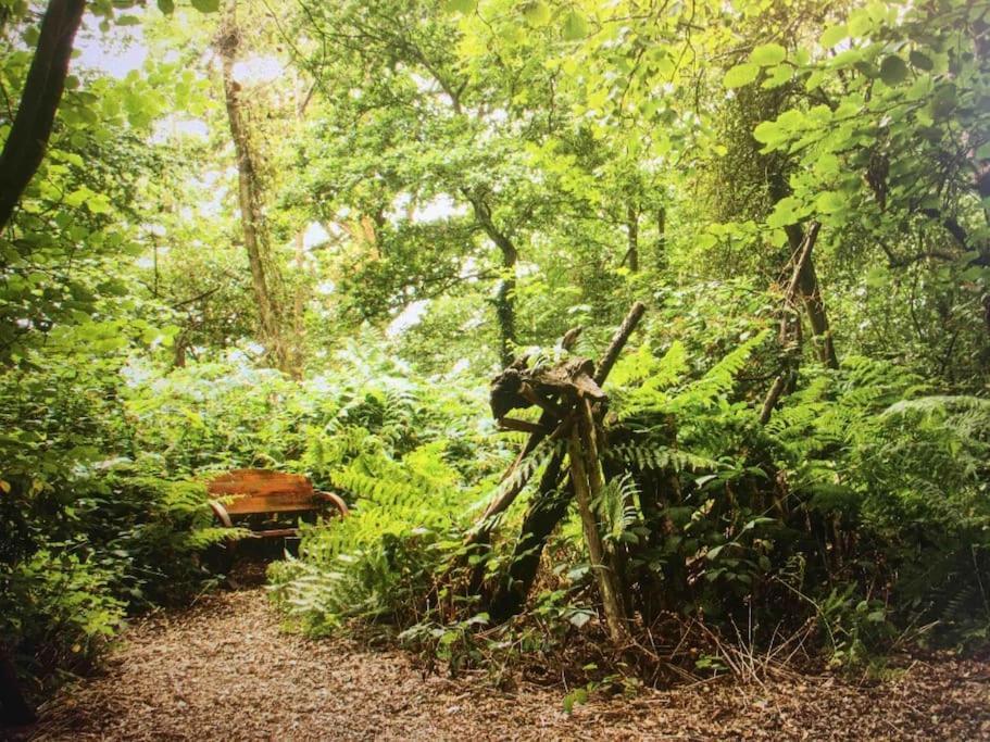 Magical Forest Yurt Sturry Exterior photo