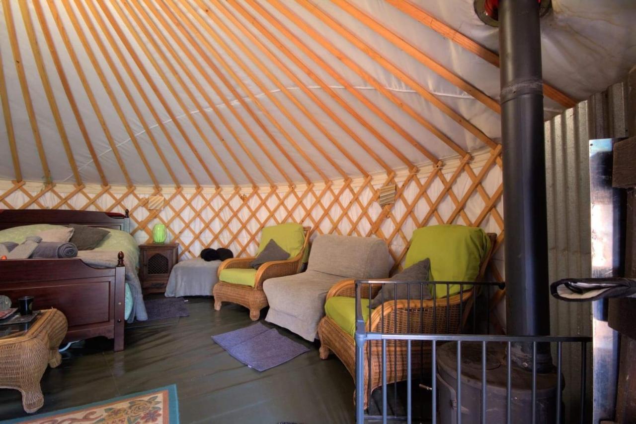 Magical Forest Yurt Sturry Exterior photo
