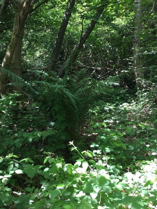Magical Forest Yurt Sturry Exterior photo