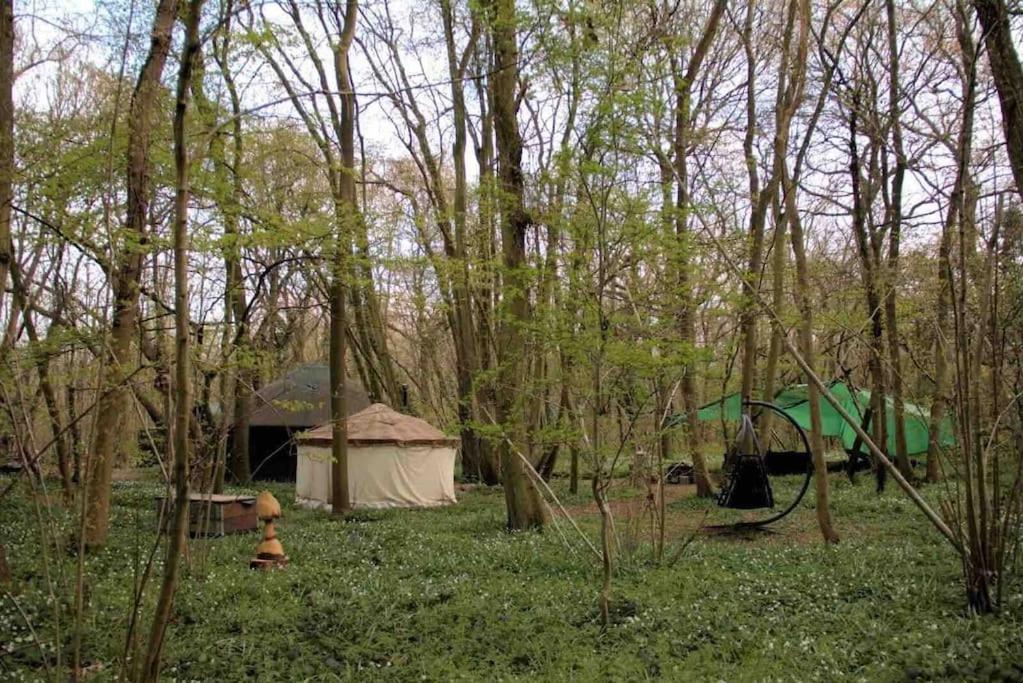 Magical Forest Yurt Sturry Exterior photo