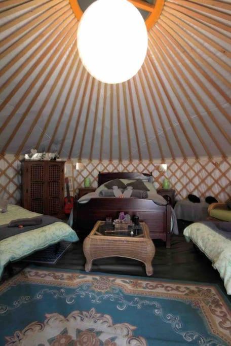 Magical Forest Yurt Sturry Exterior photo