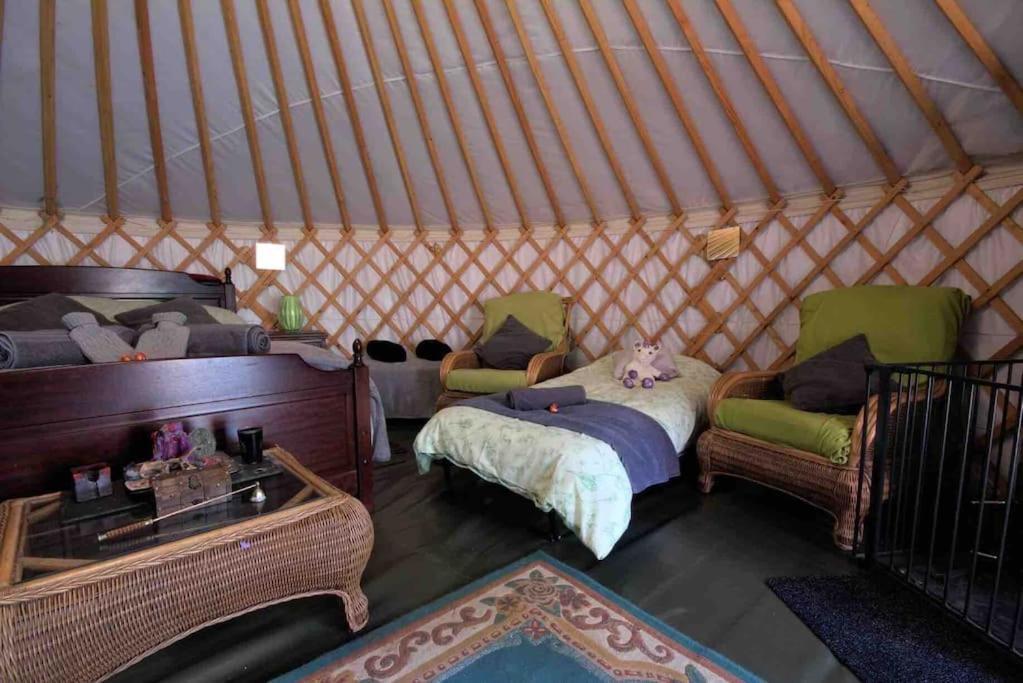 Magical Forest Yurt Sturry Exterior photo