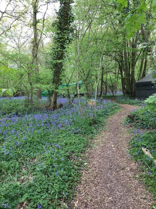 Magical Forest Yurt Sturry Exterior photo