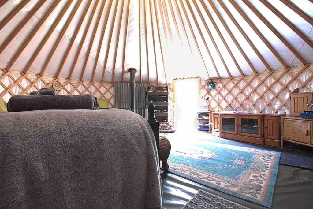 Magical Forest Yurt Sturry Exterior photo